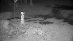 Běžecký lyžařský areál Nová Ves - horní část