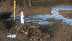 Běžecký lyžařský areál Nová Ves - horní část