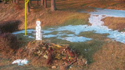 Běžecký lyžařský areál Nová Ves - horní část