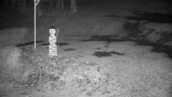 Běžecký lyžařský areál Nová Ves - horní část