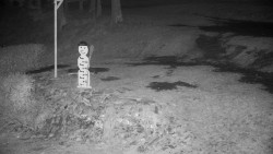 Běžecký lyžařský areál Nová Ves - horní část