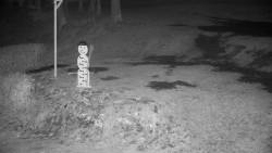 Běžecký lyžařský areál Nová Ves - horní část