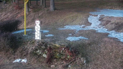 Běžecký lyžařský areál Nová Ves - horní část