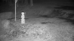 Běžecký lyžařský areál Nová Ves - horní část