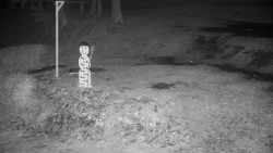 Běžecký lyžařský areál Nová Ves - horní část