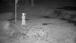 Běžecký lyžařský areál Nová Ves - horní část