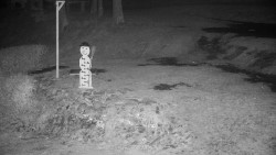 Běžecký lyžařský areál Nová Ves - horní část