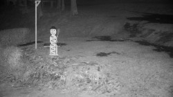 Běžecký lyžařský areál Nová Ves - horní část