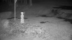 Běžecký lyžařský areál Nová Ves - horní část