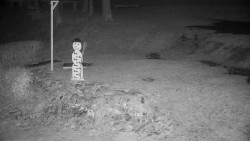 Běžecký lyžařský areál Nová Ves - horní část