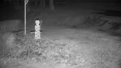 Běžecký lyžařský areál Nová Ves - horní část