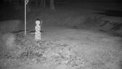 Běžecký lyžařský areál Nová Ves - horní část