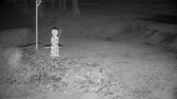 Běžecký lyžařský areál Nová Ves - horní část