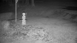 Běžecký lyžařský areál Nová Ves - horní část