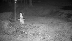 Běžecký lyžařský areál Nová Ves - horní část