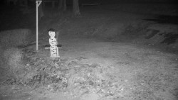 Běžecký lyžařský areál Nová Ves - horní část