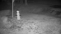 Běžecký lyžařský areál Nová Ves - horní část