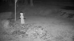 Běžecký lyžařský areál Nová Ves - horní část