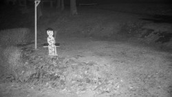 Běžecký lyžařský areál Nová Ves - horní část