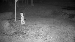 Běžecký lyžařský areál Nová Ves - horní část