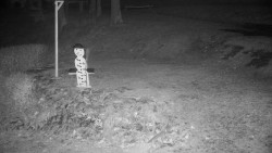 Běžecký lyžařský areál Nová Ves - horní část