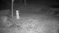 Běžecký lyžařský areál Nová Ves - horní část