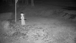 Běžecký lyžařský areál Nová Ves - horní část