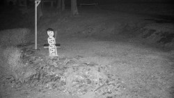 Běžecký lyžařský areál Nová Ves - horní část