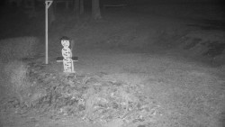 Běžecký lyžařský areál Nová Ves - horní část