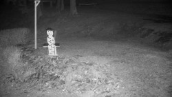 Běžecký lyžařský areál Nová Ves - horní část