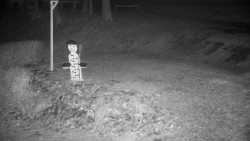 Běžecký lyžařský areál Nová Ves - horní část