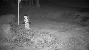 Chata Myslivna SKP Olomouc - Běžecký lyžařský areál Nová Ves - horní část - 13.3.2026 v 00:30 Chata Myslivna SKP Olomouc - Běžecký lyžařský areál Nová Ves - horní část - 13.3.2026 v 00:30