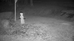 Běžecký lyžařský areál Nová Ves - horní část