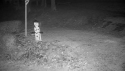 Běžecký lyžařský areál Nová Ves - horní část