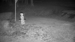 Běžecký lyžařský areál Nová Ves - horní část