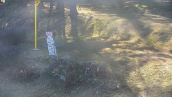 Běžecký lyžařský areál Nová Ves - horní část