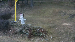 Běžecký lyžařský areál Nová Ves - horní část