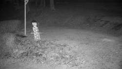 Běžecký lyžařský areál Nová Ves - horní část