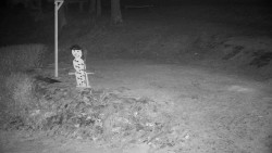 Běžecký lyžařský areál Nová Ves - horní část