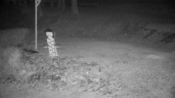 Běžecký lyžařský areál Nová Ves - horní část