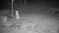 Běžecký lyžařský areál Nová Ves - horní část