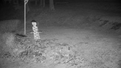 Běžecký lyžařský areál Nová Ves - horní část