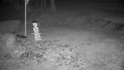 Běžecký lyžařský areál Nová Ves - horní část