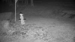 Běžecký lyžařský areál Nová Ves - horní část