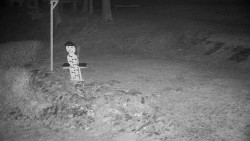 Běžecký lyžařský areál Nová Ves - horní část