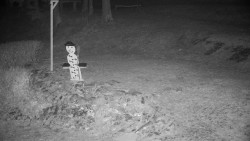 Běžecký lyžařský areál Nová Ves - horní část