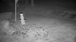 Běžecký lyžařský areál Nová Ves - horní část