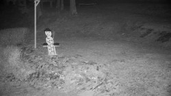 Běžecký lyžařský areál Nová Ves - horní část