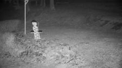 Běžecký lyžařský areál Nová Ves - horní část