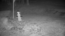 Běžecký lyžařský areál Nová Ves - horní část